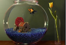 Декоративный аквариум